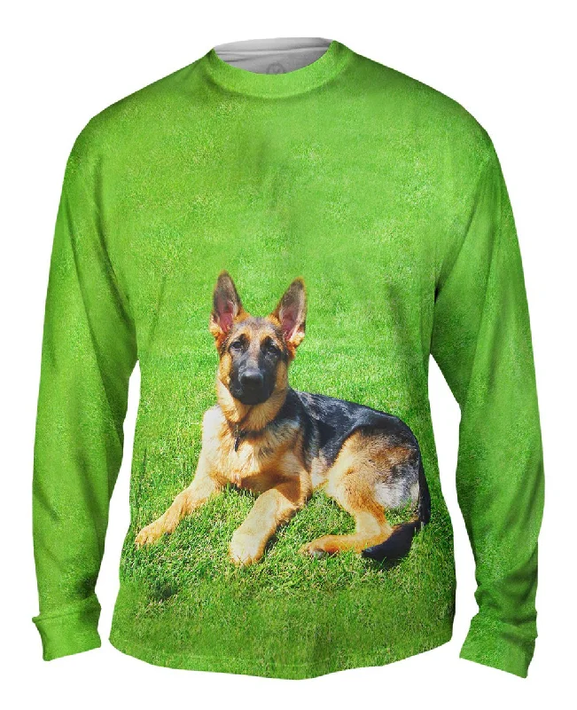 German Shepherd On Grass